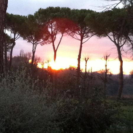 Villa Acquaviva Wine Resort Montemerano Bagian luar foto