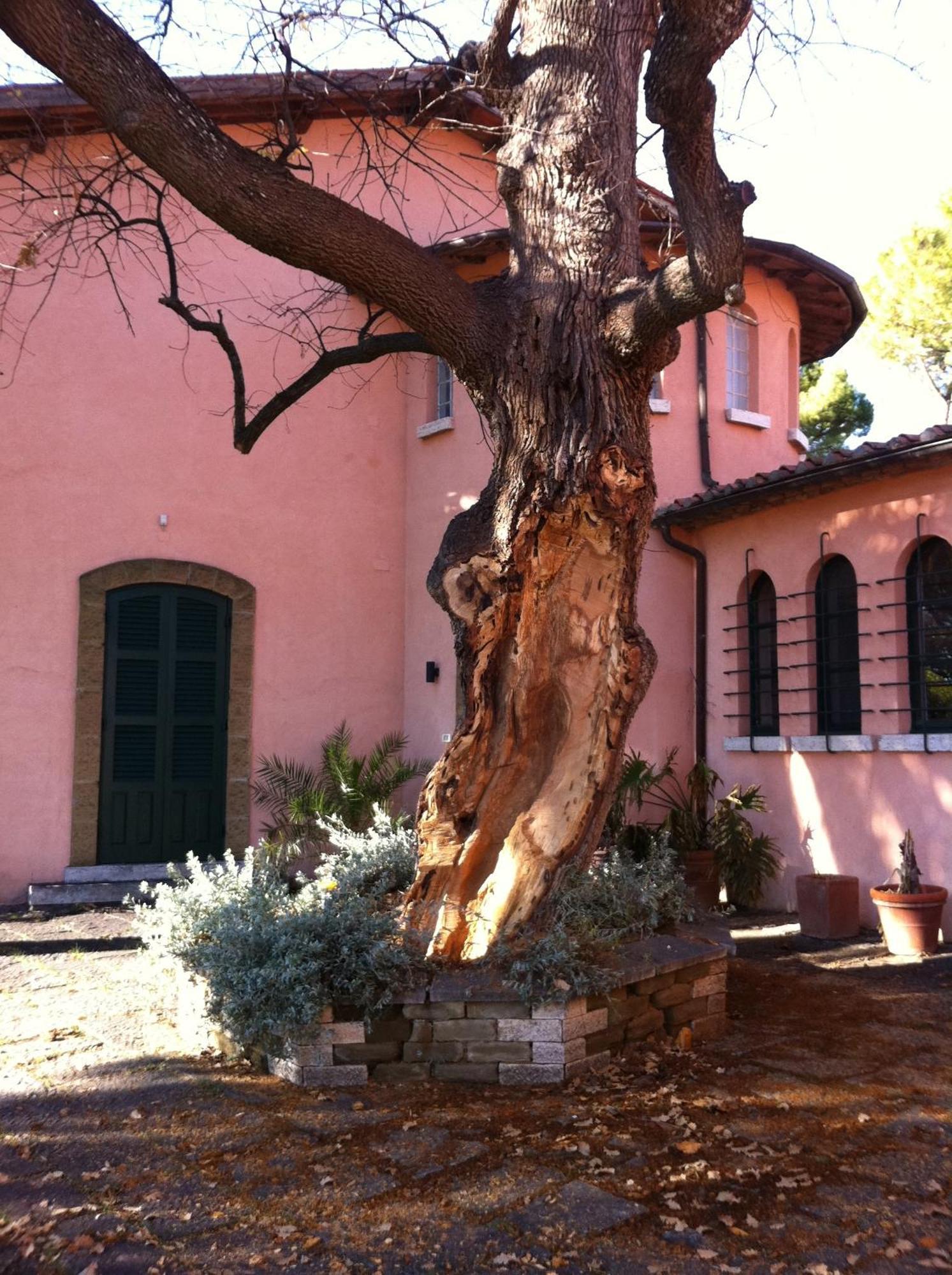 Villa Acquaviva Wine Resort Montemerano Bagian luar foto