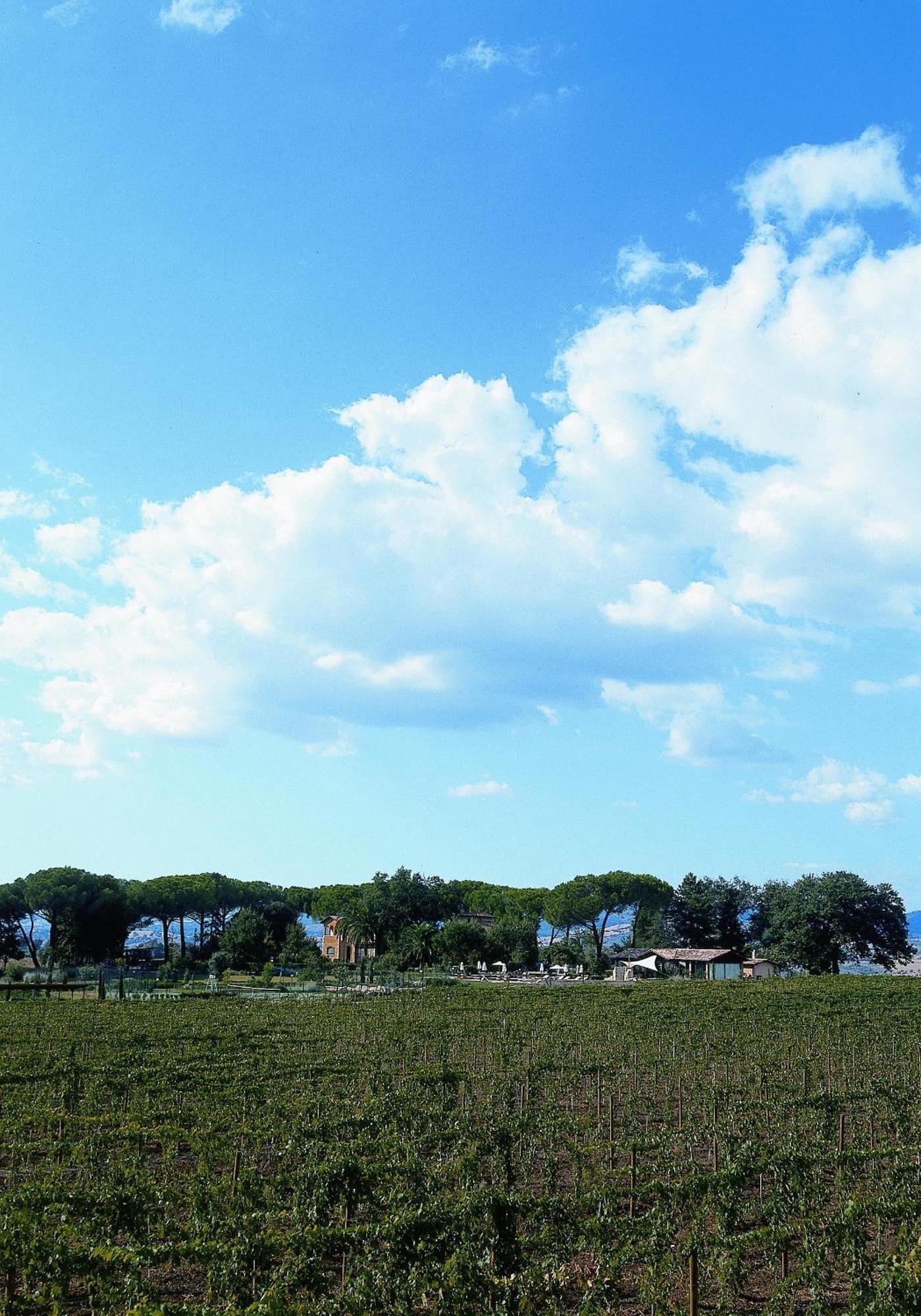 Villa Acquaviva Wine Resort Montemerano Bagian luar foto