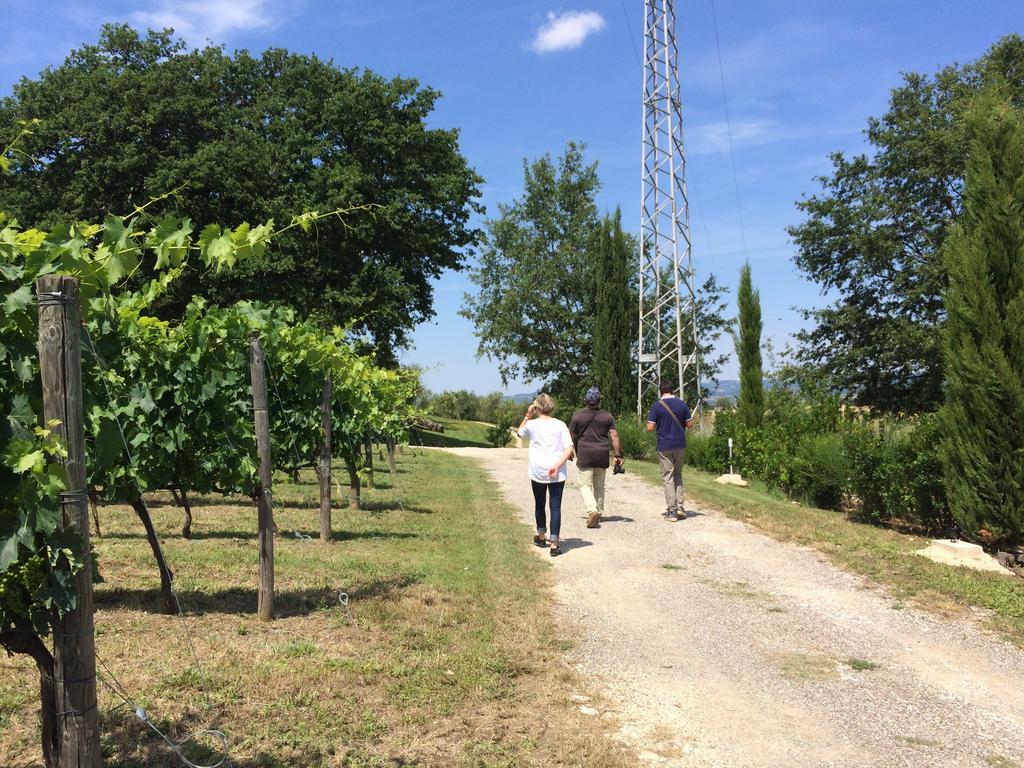 Villa Acquaviva Wine Resort Montemerano Bagian luar foto