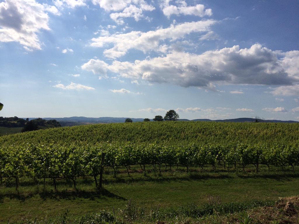 Villa Acquaviva Wine Resort Montemerano Bagian luar foto