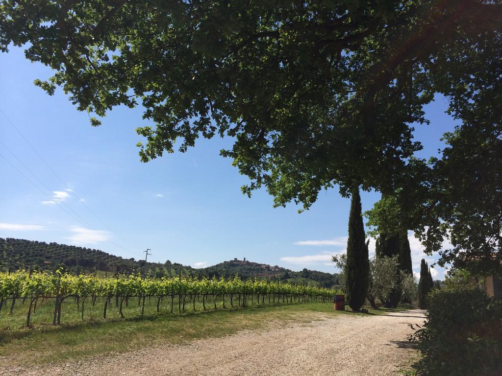 Villa Acquaviva Wine Resort Montemerano Bagian luar foto