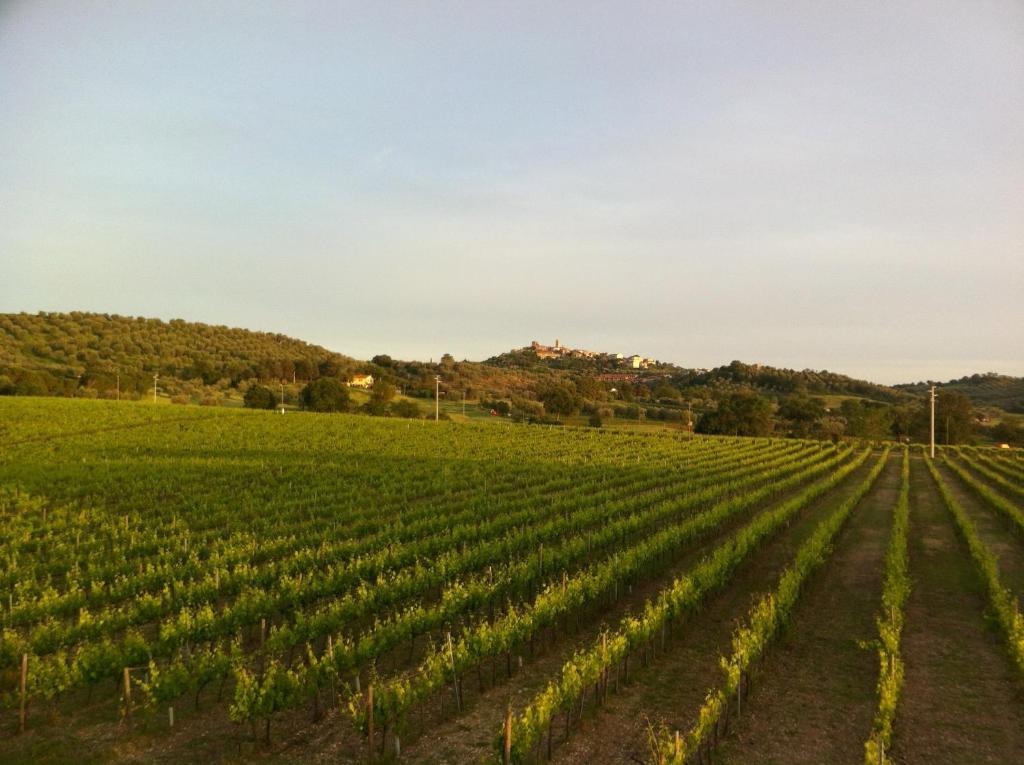 Villa Acquaviva Wine Resort Montemerano Bagian luar foto